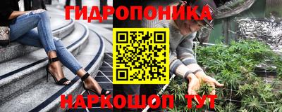 стафф Кандалакша