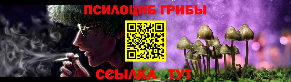 Валуйки  Галлюциногенные грибы Psilocybine cubensis  Вход с VPN  Галлюциногенные грибы Cubensis 